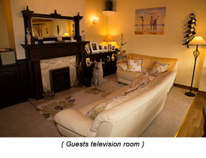 Guests Television Room